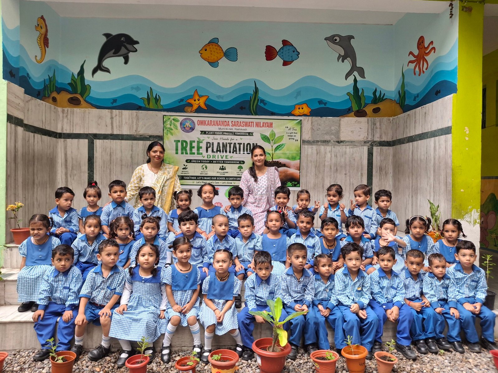 Nursery / KG Summer